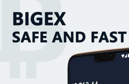 Bigex(bigexwys.com)