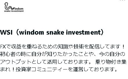 WSI（windom snake investment）